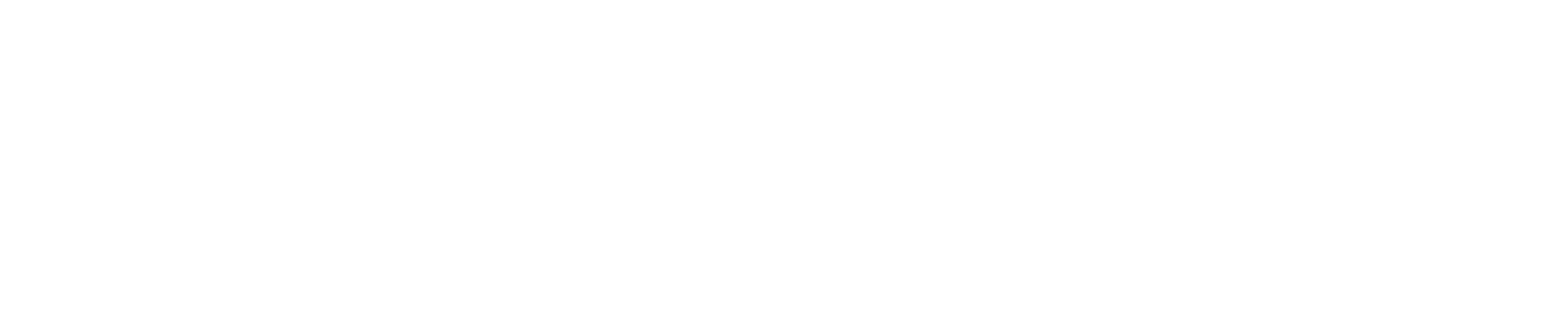 1Xbet